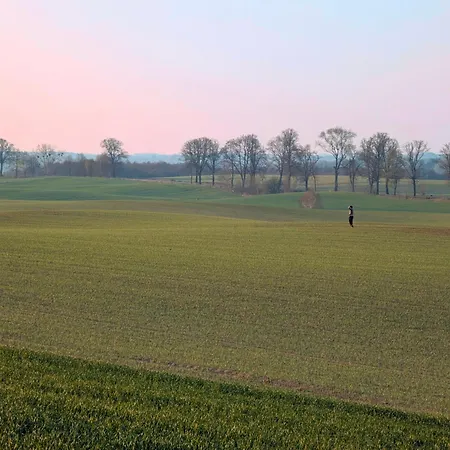 Plachty Holiday home *