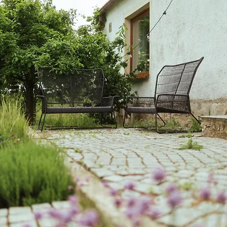 Plachty * Liniewko